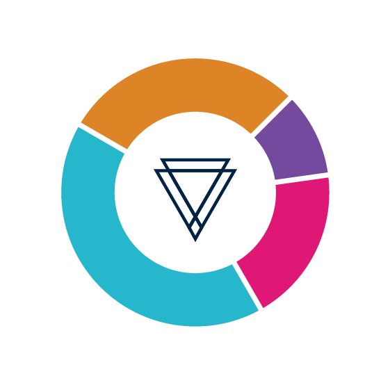 data-driven strategies logo
